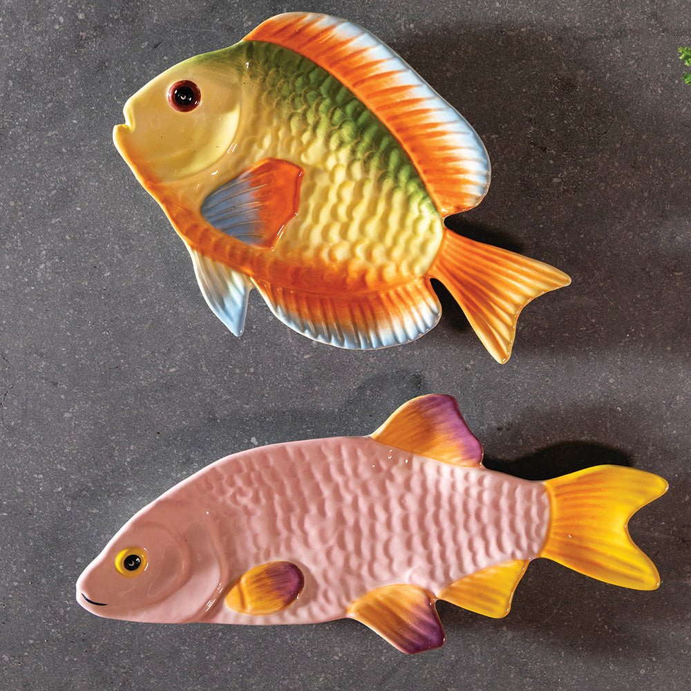 Plato Fish Snapper