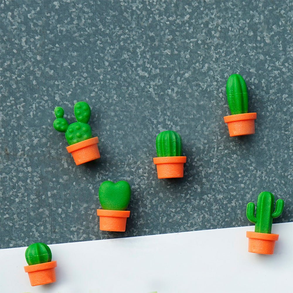 Imanes Mini Cactus