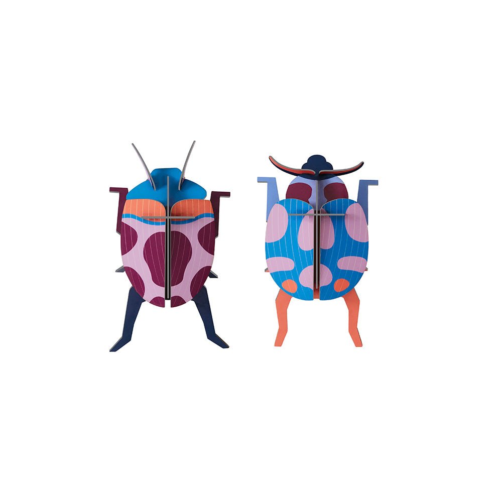 Coccinelle Couple
