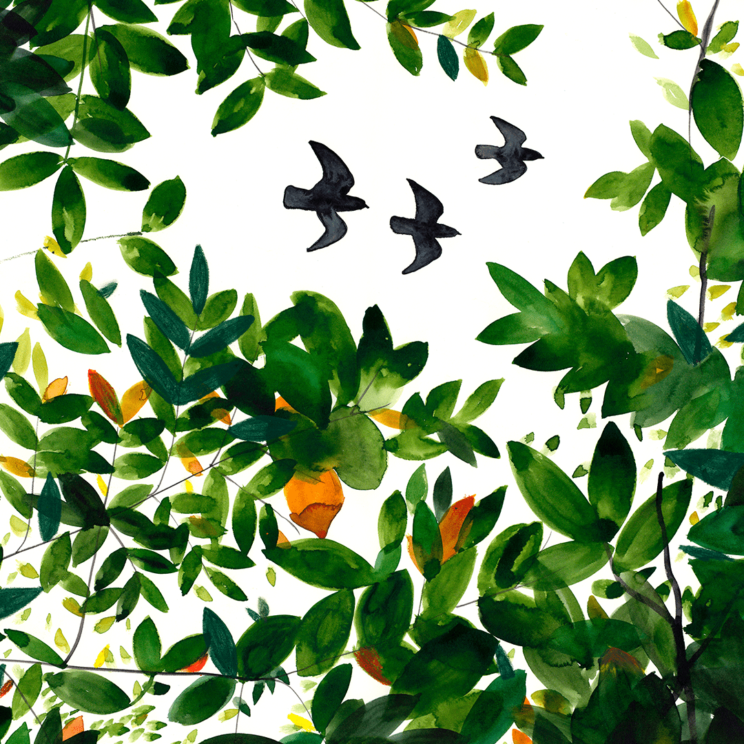 Tree Tops Giclée Print