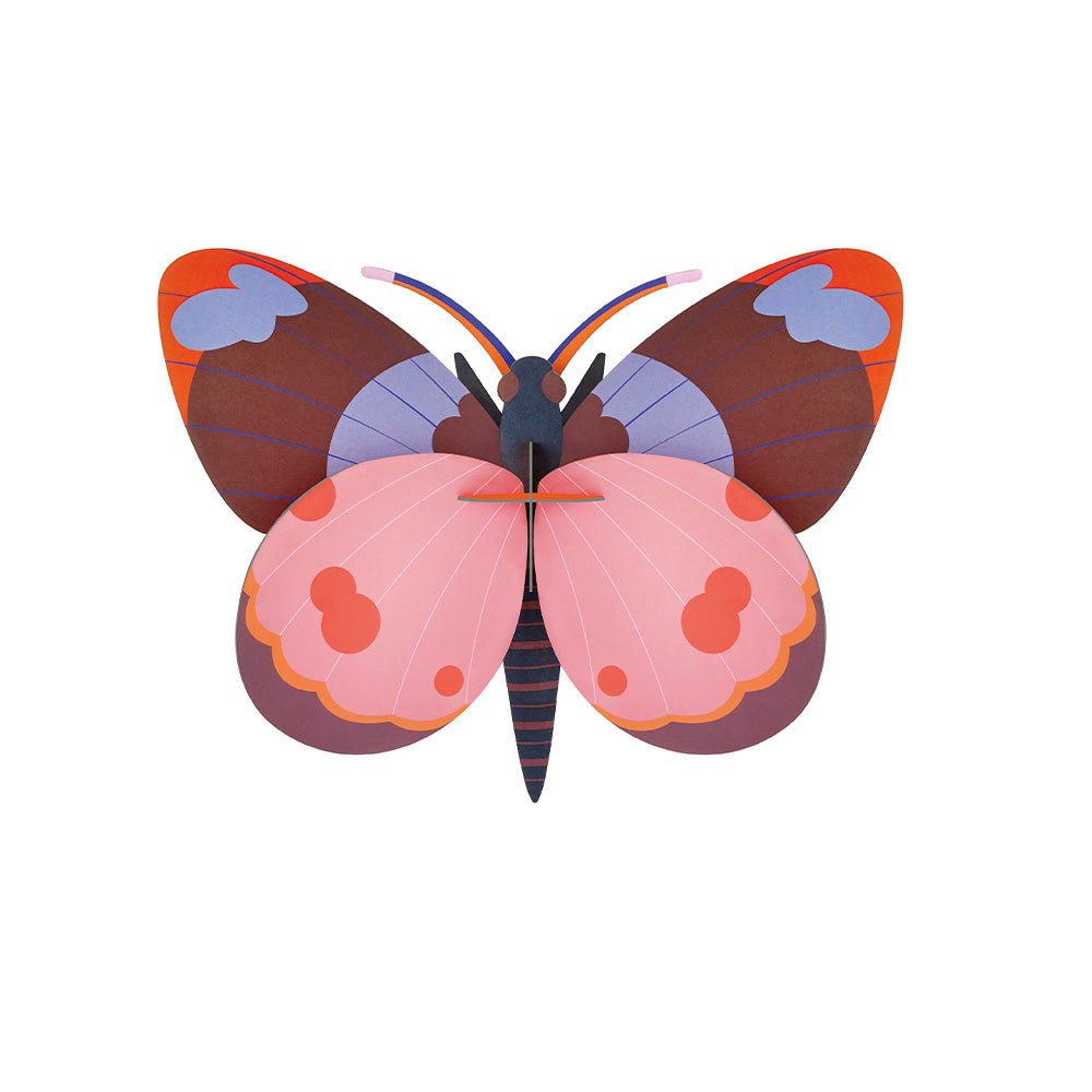 Bellissima - Papillon