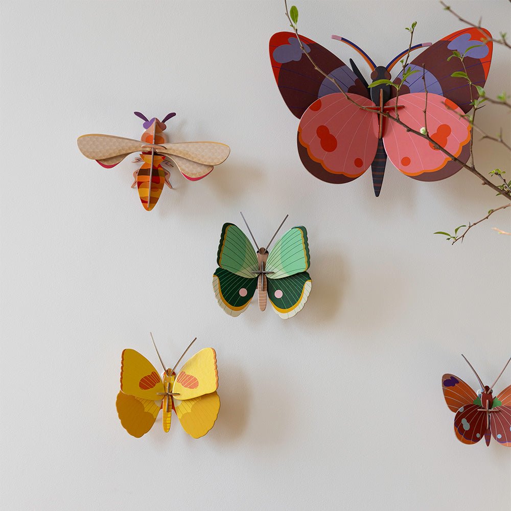 Bellissima - Papillon