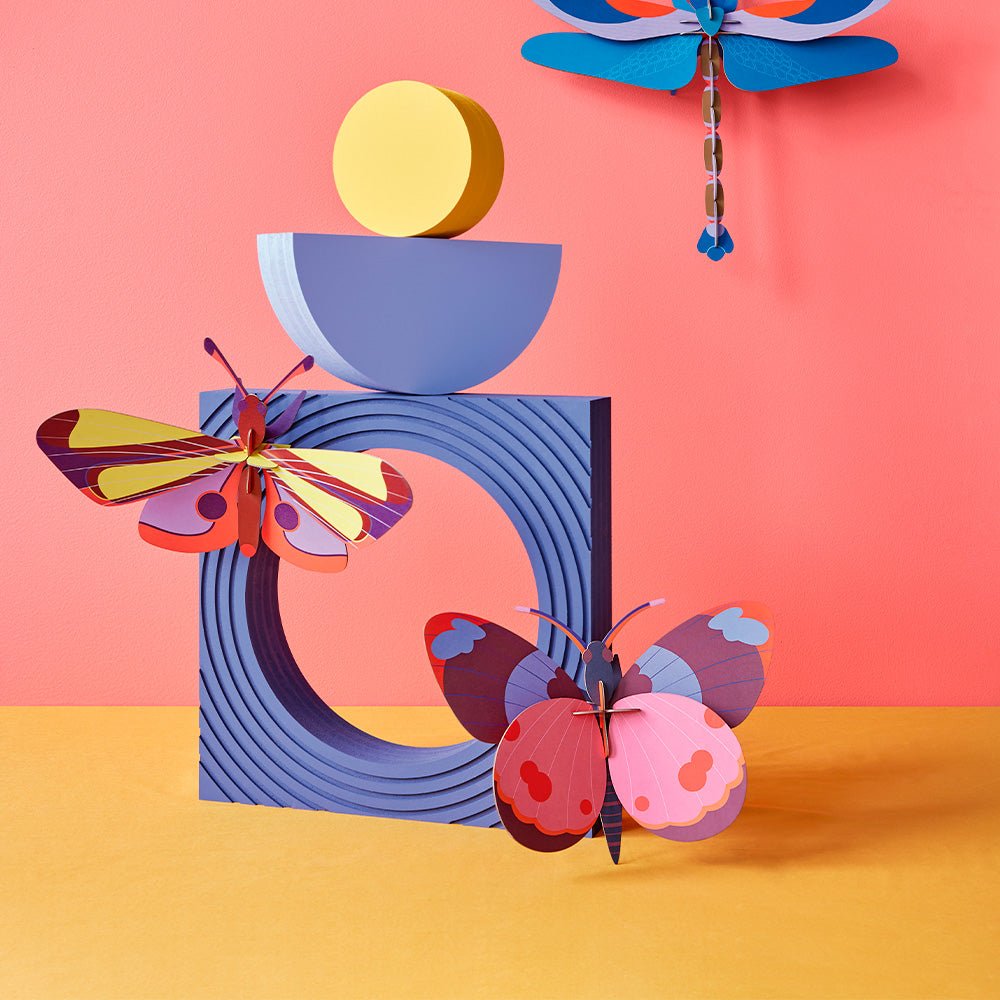Bellissima - Papillon