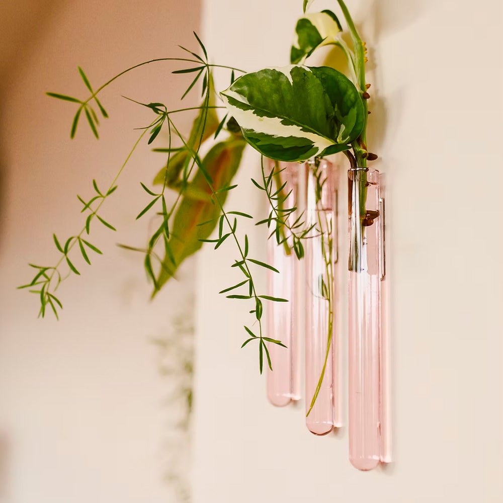 Walleaf Rosa (set de 3)
