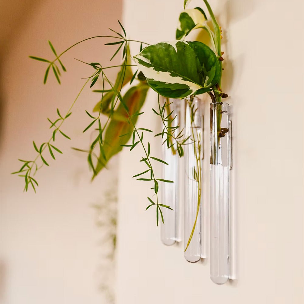Walleaf Transparente (set de 3)