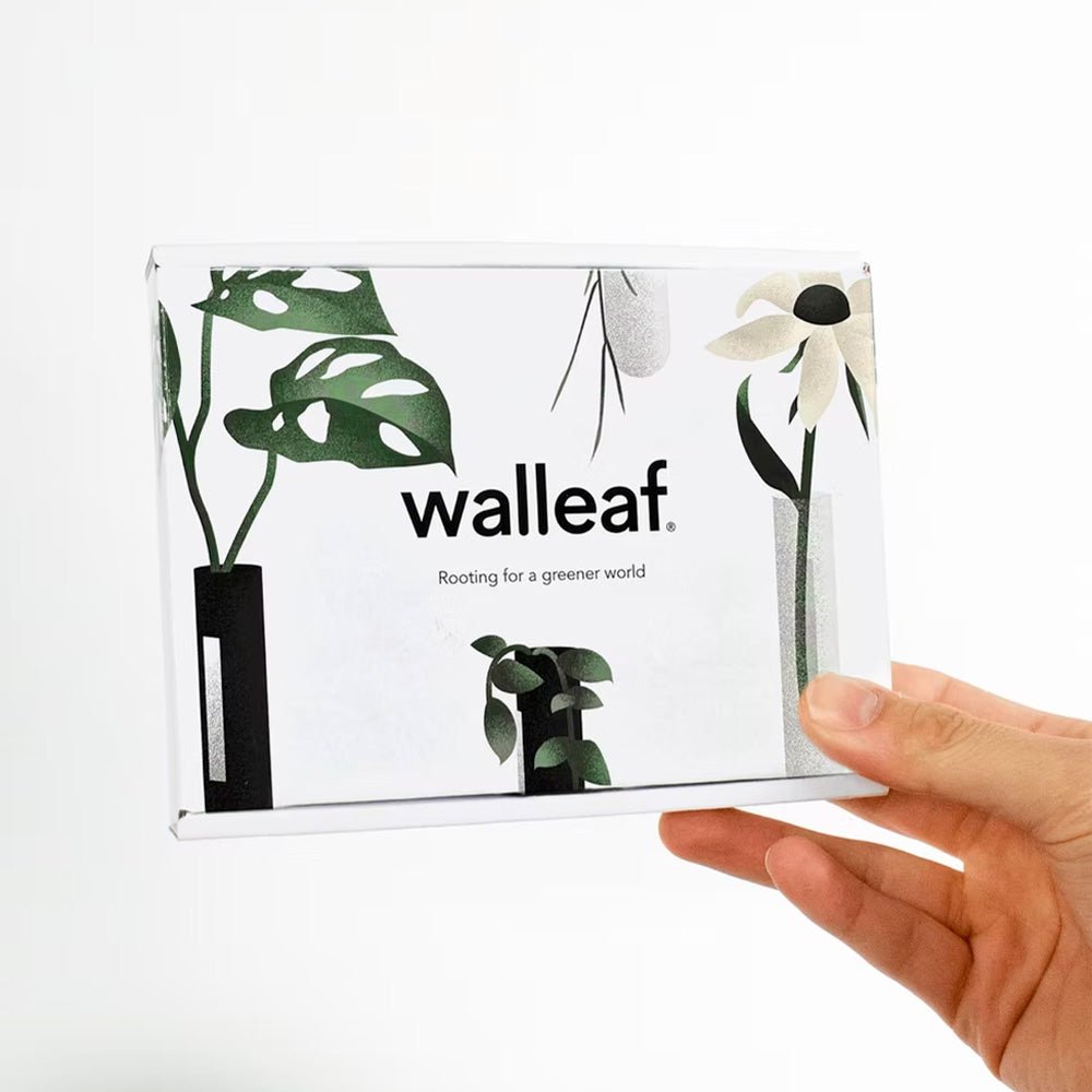 Walleaf Green (set of 3)