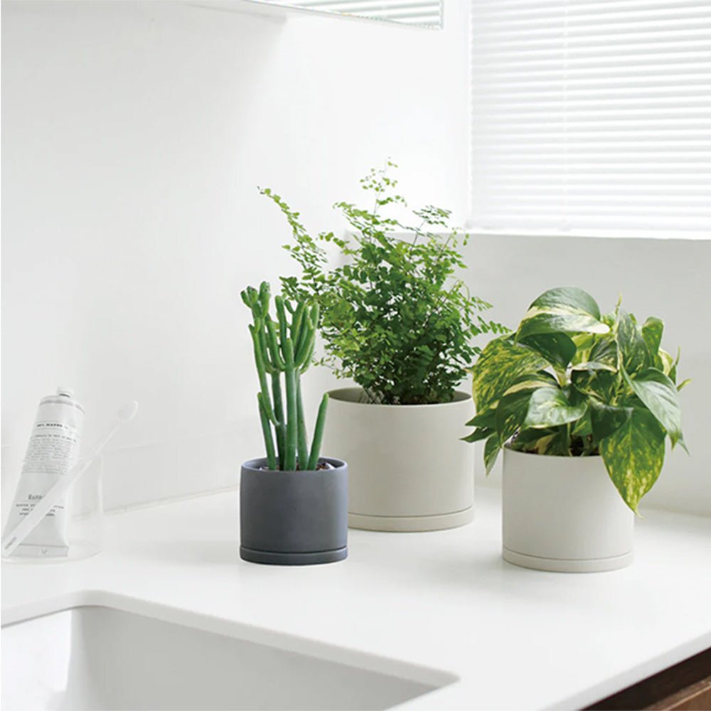 Plant Pot 191 - 170 x 160 mm Earth Gray
