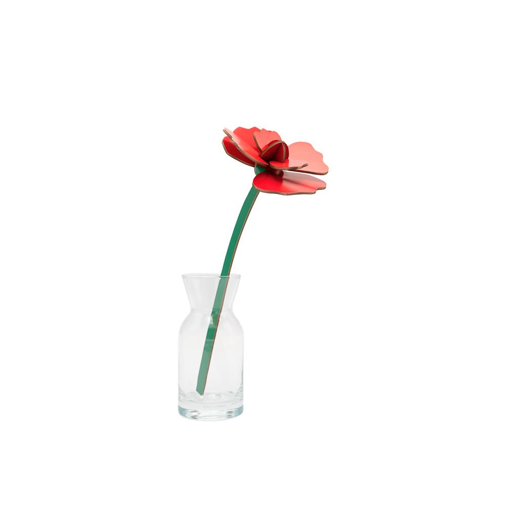 Small Everlasting Flowers - Red Rose