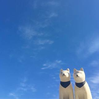 Akita Animal de Madera Pole Pole