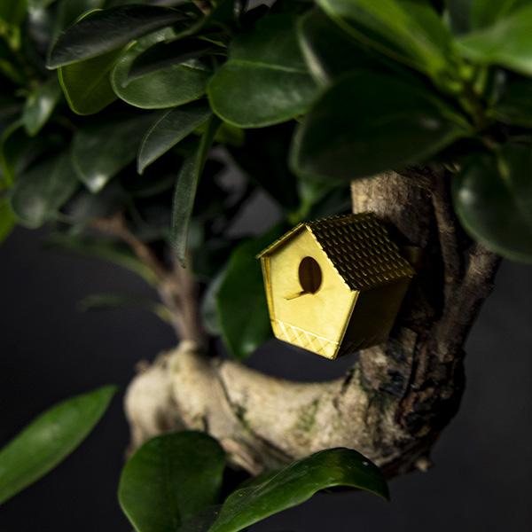 Pequeña Caja de Pájaros Para Tus Plantas
