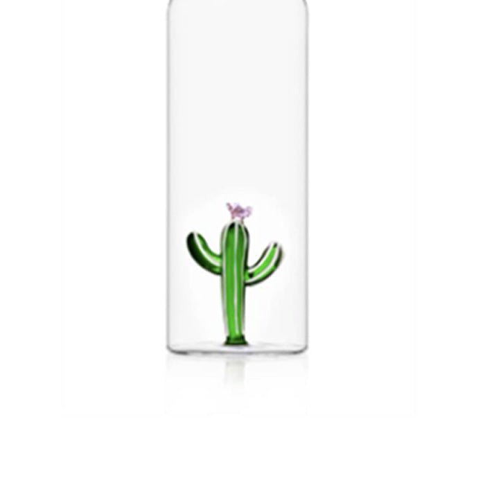Botella Cactus Desert Plants