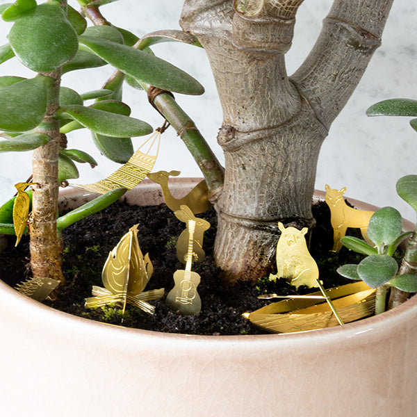 Petit camping pour vos plantes