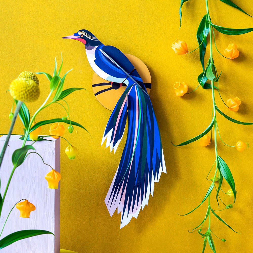 Paradise Bird - Flores