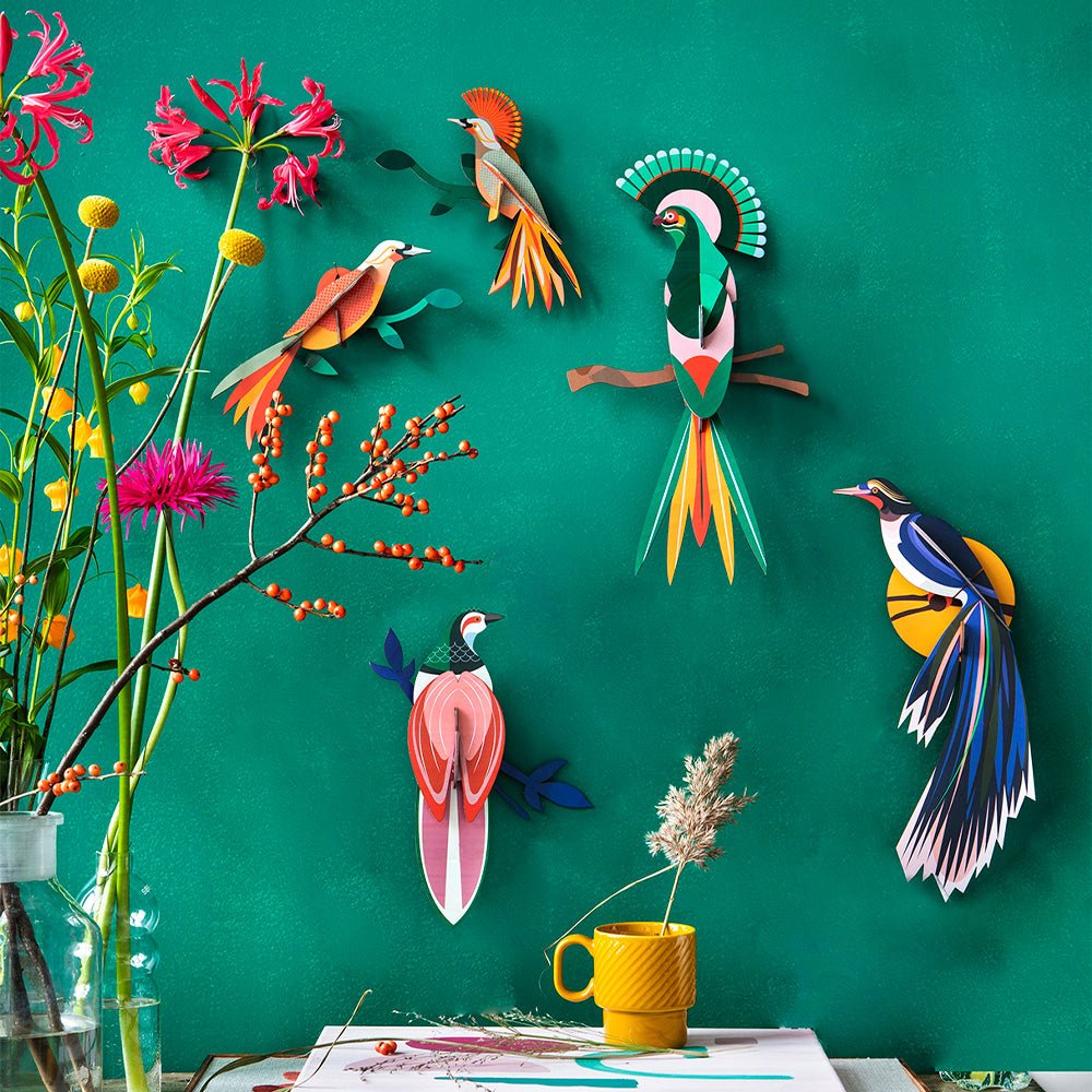 Paradise Bird Flores