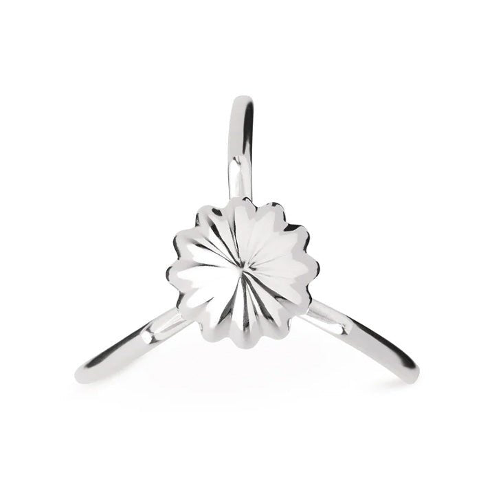 Extracteur de jus Juicy Salif