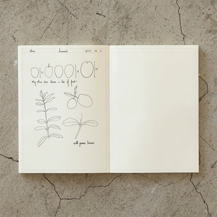 MD Notebook Journal A5 Frame