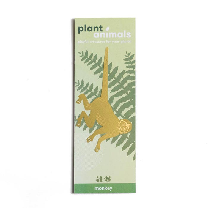 Animal para Plantas Mono Araña