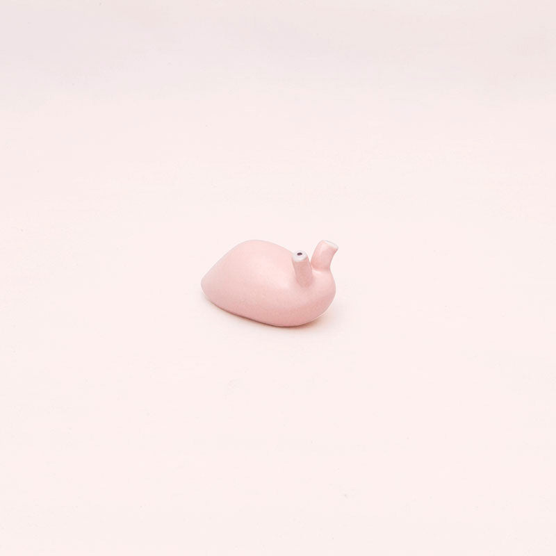 Babosa Rosa Ñoño Mini