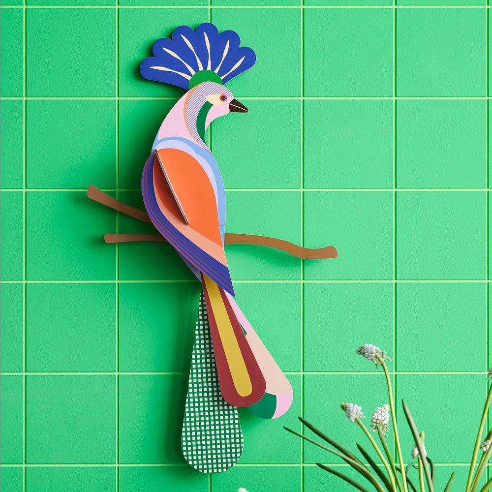 Paradise Bird - Tinjil