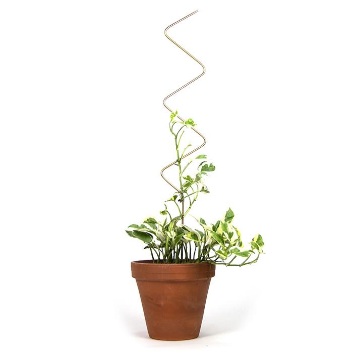 Golden Plant Stake ZigZag