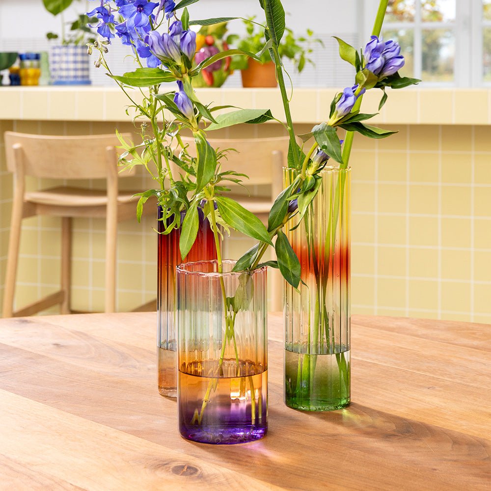 Vase Gradient Evening Wid
