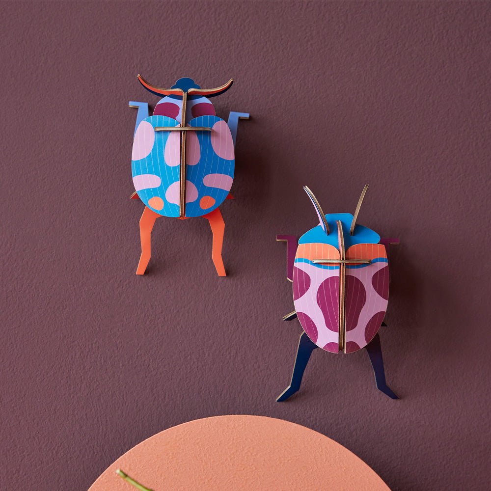 Coccinelle Couple