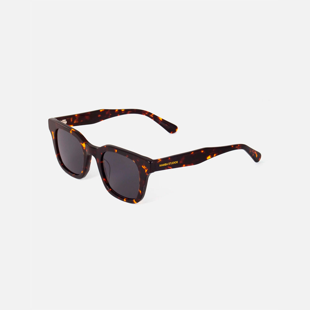 Gafas Paros Tortoise