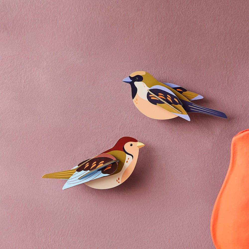 Garden Bird - Sparrows