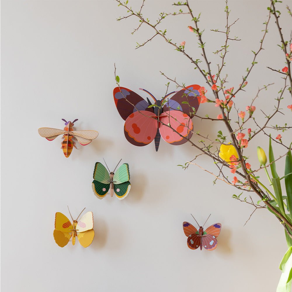 Bellissima - Papillon