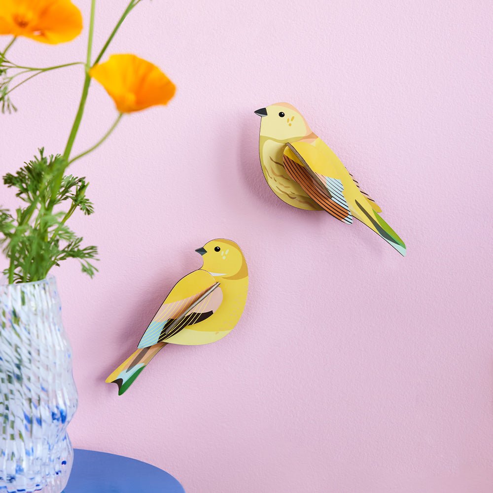 Garden Bird - Citrinella Pair