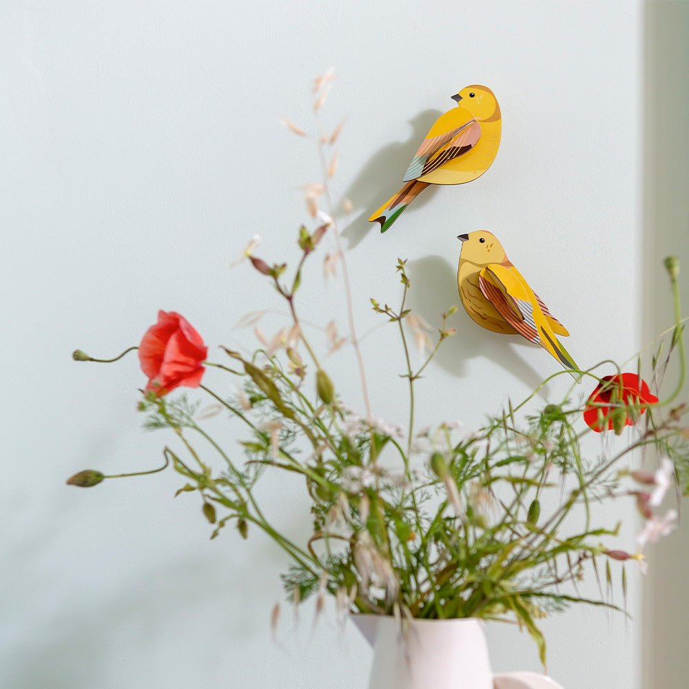 Garden Bird - Citrinella Pair