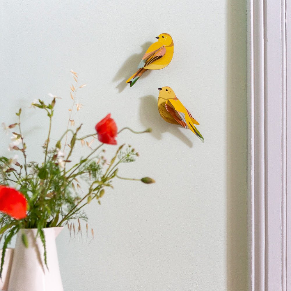 Garden Bird - Citrinella Pair