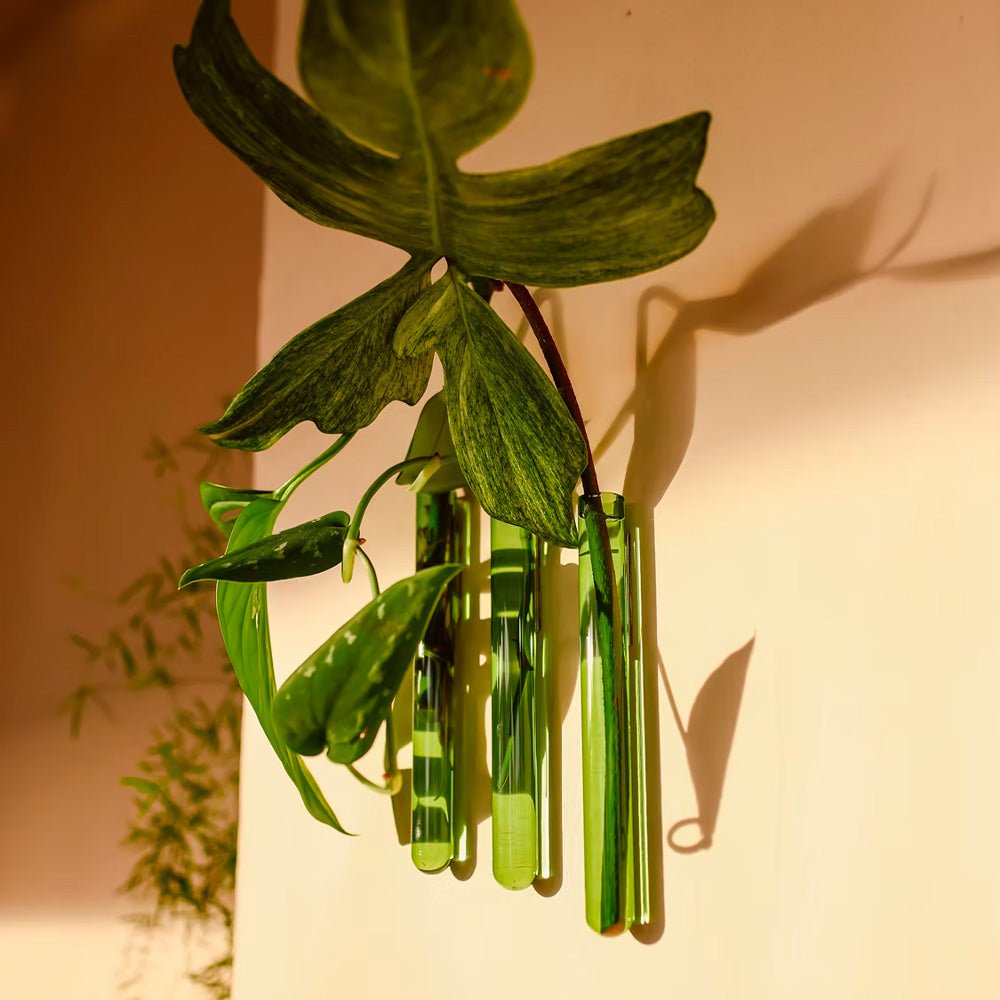 Walleaf Green (set of 3)
