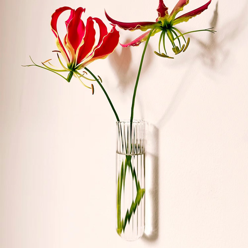 Walleaf XL Transparente (1 pieza)