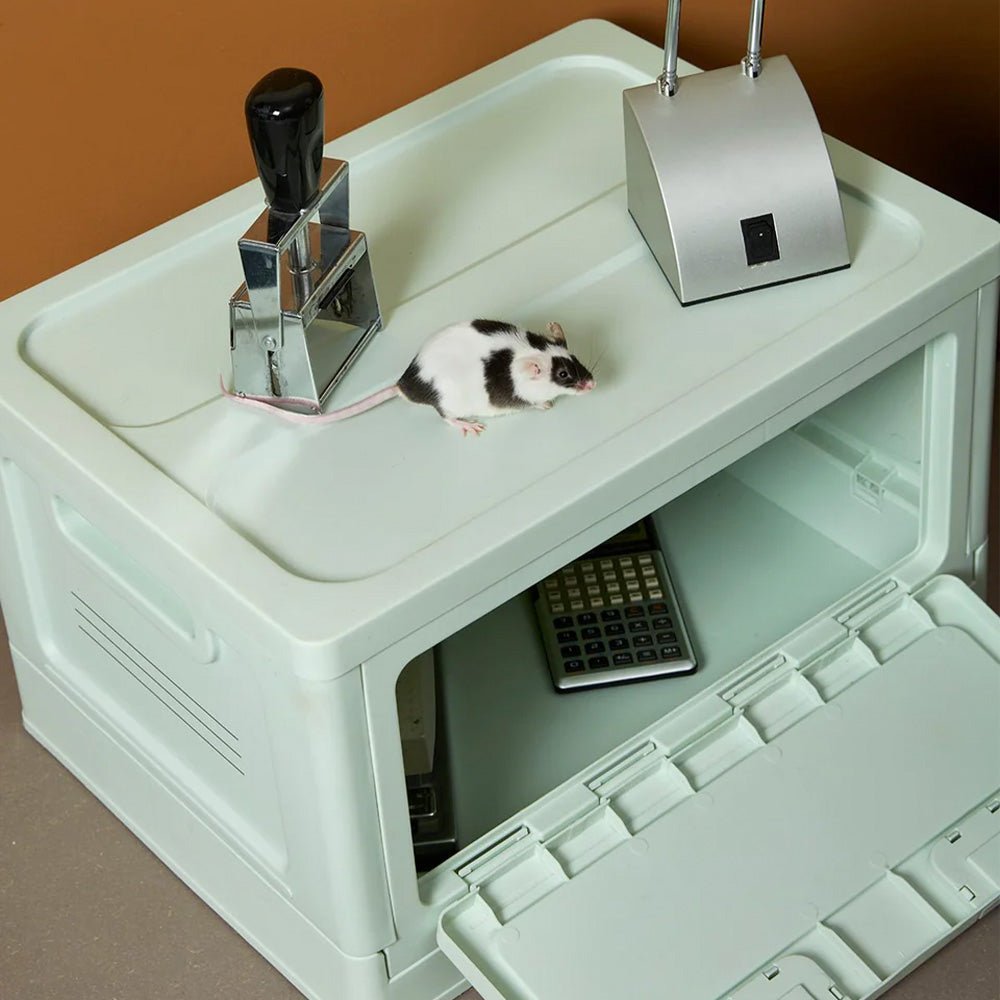 Caja Mediana Mint