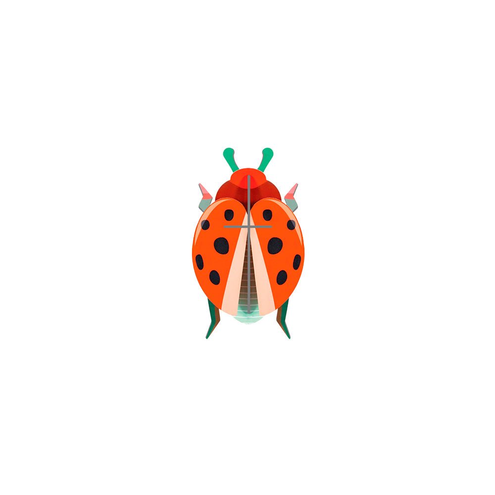 Coccinelle Rouge