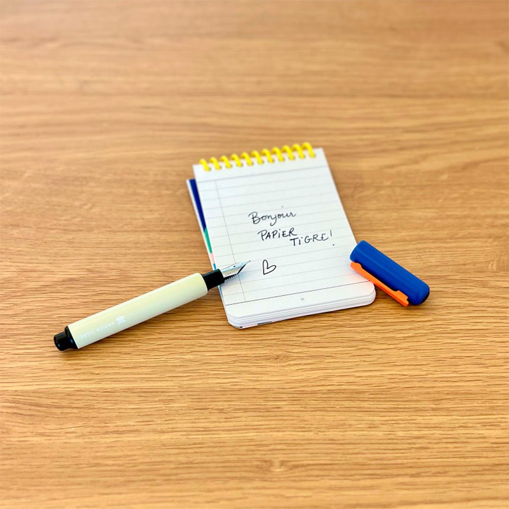 Fountain Pen Blue