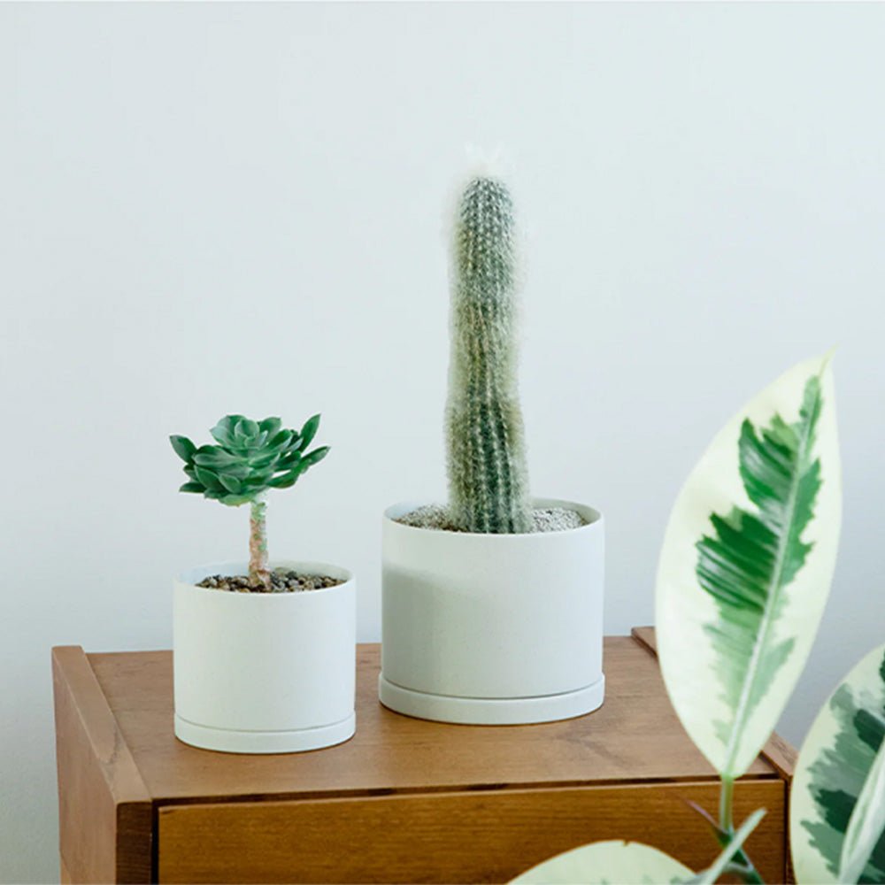 Plant Pot 191 - 170 x 160 mm Earth Gray