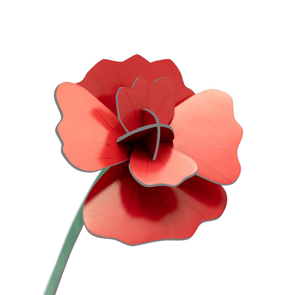 Small Everlasting Flowers - Red Rose