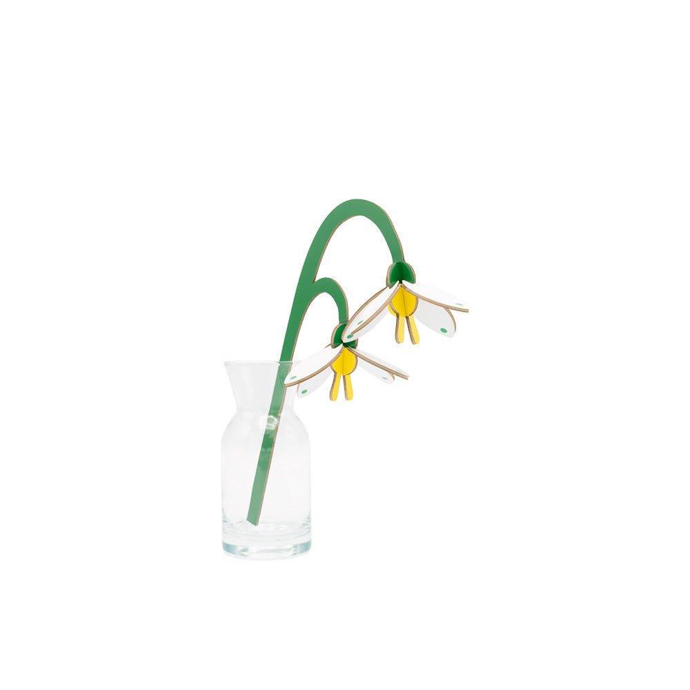Small Everlasting Flowers - Spring Bells