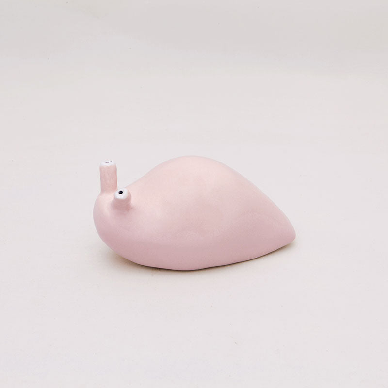 Babosa Rosa Ñoño Pequeña