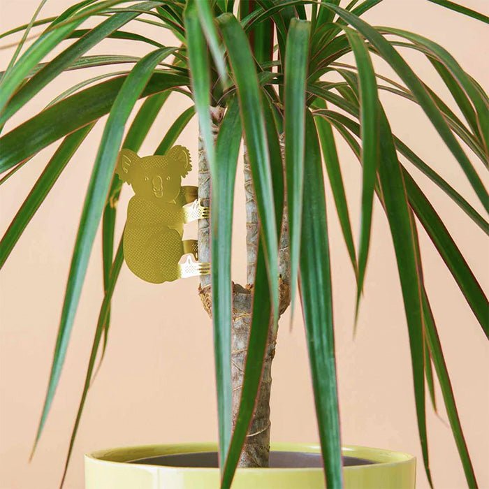 Animal para Plantas Koala