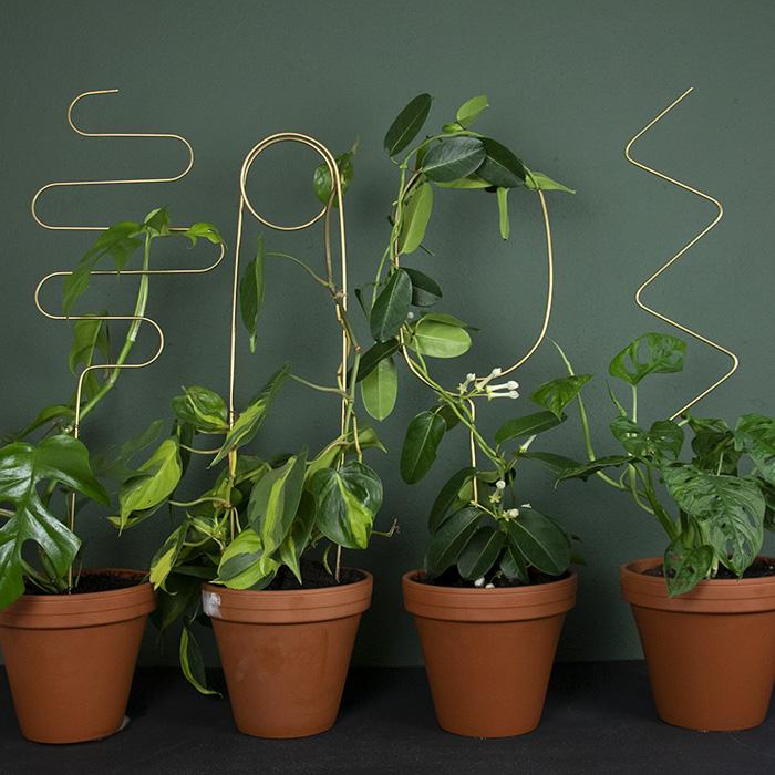 Golden Plant Stake ZigZag